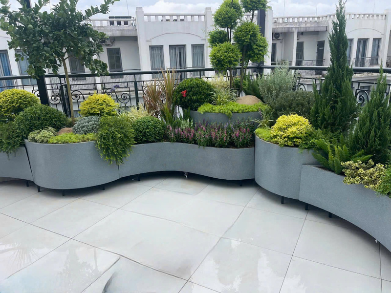 Chậu theo thiết kế, chậu cong